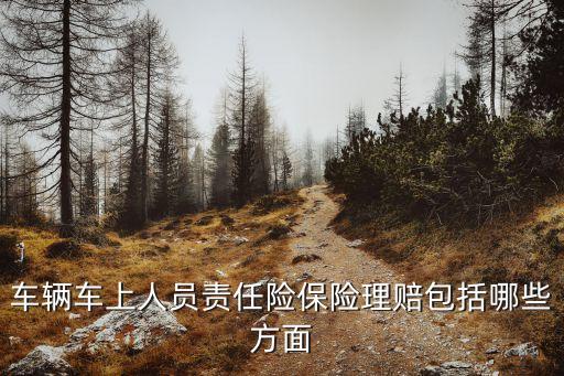 車上人員責任險什么意思，交強險與車上人員險是什么關(guān)系