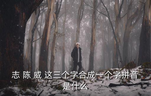 志 陳 威 這三個(gè)字合成一個(gè)字拼音是什么