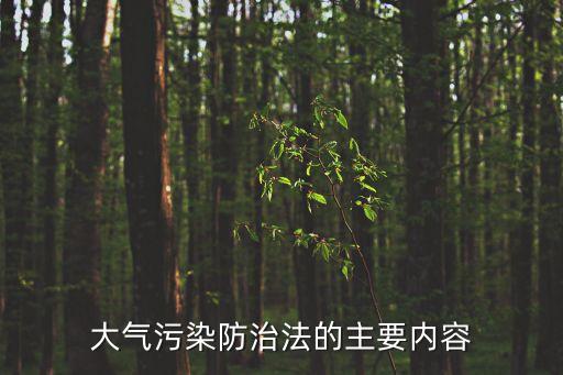 大氣污染防治條例，大氣污染防治法的主要內(nèi)容