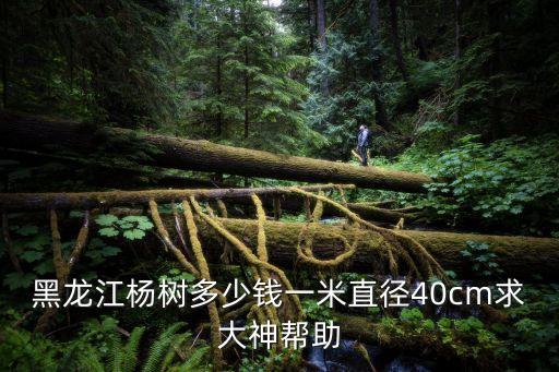 黑龍江楊，黑龍江楊樹原木價(jià)格行情怎么樣