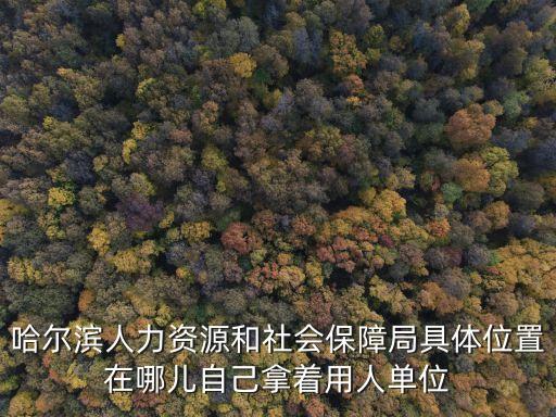 哈爾濱市人社局，哈爾濱社保局在哪里