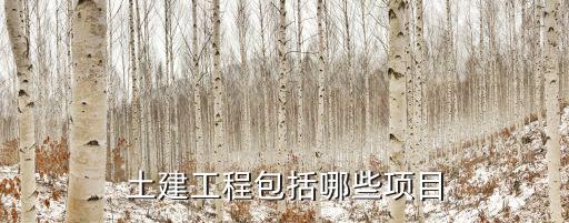 土建工程包括哪些項目