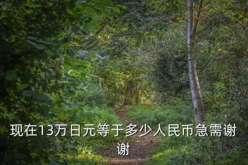 13萬(wàn)日元，現(xiàn)在13萬(wàn)日元等于多少人民幣急需謝謝