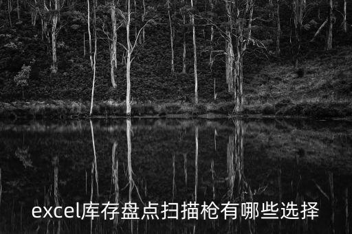excel庫存盤點(diǎn)掃描槍有哪些選擇