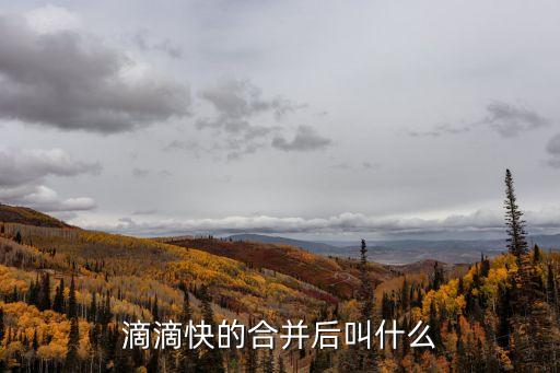 滴滴快的合并后叫什么