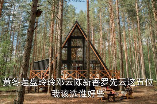 鄧云，黃冬蓮盤玲玲鄧云陳新香羅先云這五位我該選誰(shuí)好些