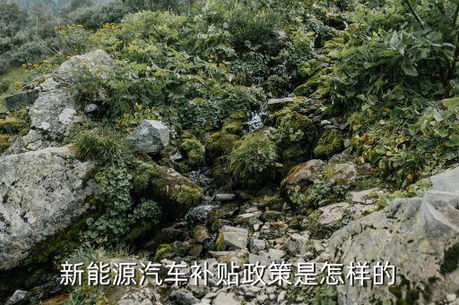 新能源補貼政策，中國新能源汽車有哪些地方性補貼政策