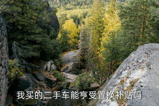 置換補貼，一應(yīng)具免全民盛宴中置換補貼都有啥補貼