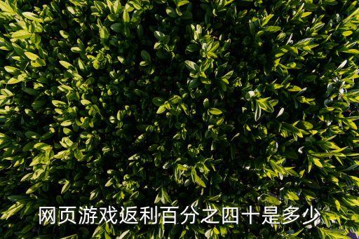 網(wǎng)頁(yè)游戲返利百分之四十是多少