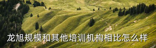龍旭規(guī)模和其他培訓機構(gòu)相比怎么樣