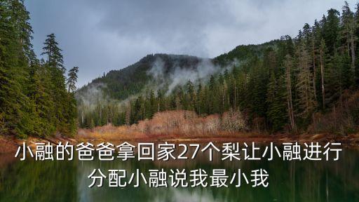 小融，小融的帶寬要求多少