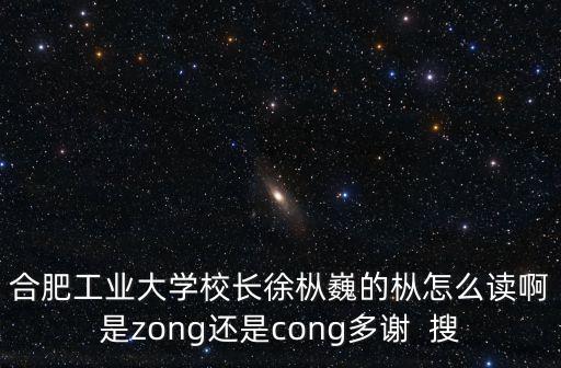 徐樅巍，合工大梁梁是什么級(jí)別
