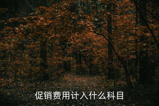 促銷費(fèi)用計(jì)入什么科目