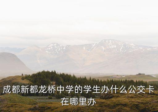龍橋中學(xué)，龍橋中學(xué)初一有幾個班