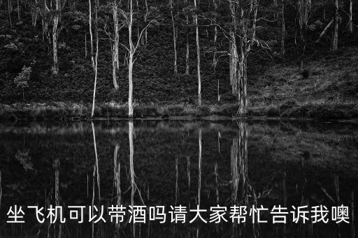 飛機(jī)帶酒，乘飛機(jī)能帶酒嗎