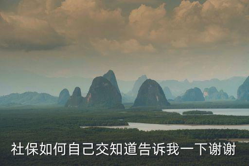 社保怎么自己繳費(fèi)，自己交社保怎么交 在那