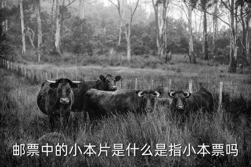 小本票是什么意思，郵票中的小本片是什么是指小本票嗎