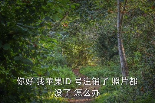 你好 我蘋果ID 號注銷了 照片都沒了 怎么辦