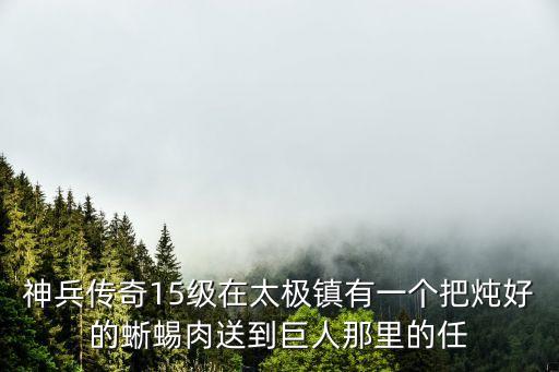 神兵傳奇15級(jí)在太極鎮(zhèn)有一個(gè)把燉好的蜥蜴肉送到巨人那里的任