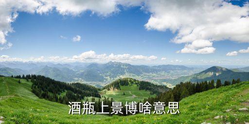 酒瓶上景博啥意思