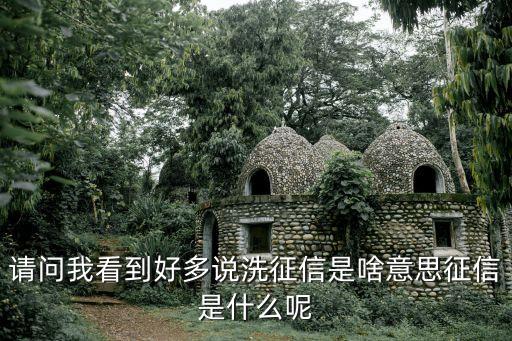 請(qǐng)問(wèn)我看到好多說(shuō)洗征信是啥意思征信是什么呢