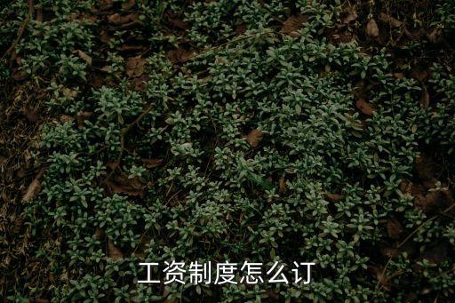 工資制度怎么訂