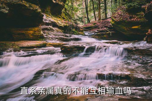 近親能不能輸血，直系親屬真的不能互相輸血嗎