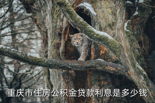重慶市住房公積金貸款利息是多少錢