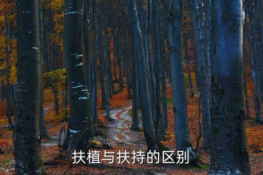 扶持，淘寶新店扶持什么意思