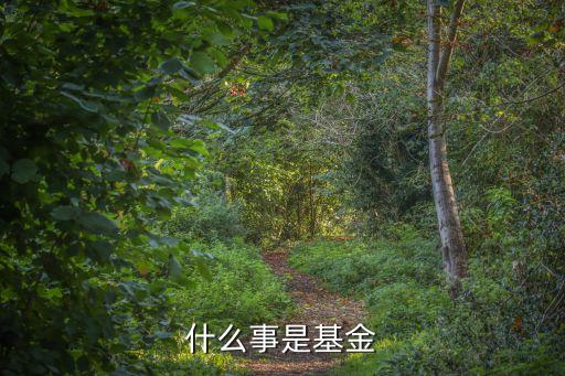 什么事是基金