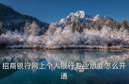 招商銀行網(wǎng)上個(gè)人銀行專業(yè)版要怎么開通