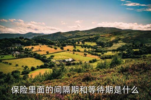 待期，期字和待字的相似字