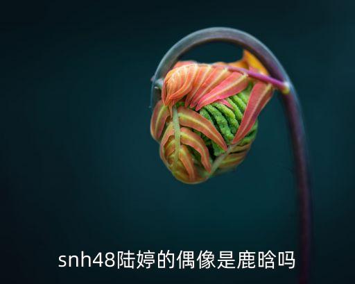 陸婷，陸婷的命運(yùn)怎么樣你們覺得我取得名字好嗎