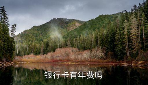 銀行卡有年費(fèi)嗎