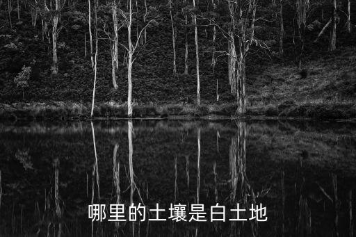白土地，什么是白色土壤