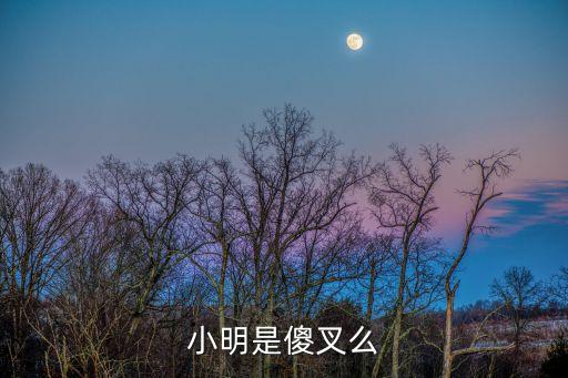 許小明，原住建部辦公室主任許小明是誰的兒子
