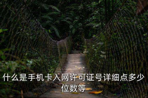什么是手機(jī)卡入網(wǎng)許可證號(hào)詳細(xì)點(diǎn)多少位數(shù)等