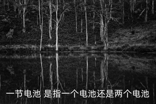 一節(jié)電池 是指一個(gè)電池還是兩個(gè)電池