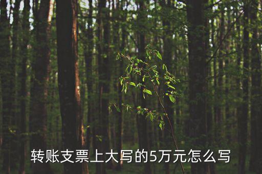 五萬大寫，轉(zhuǎn)賬支票上大寫的5萬元怎么寫