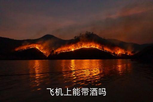 飛機(jī)能帶酒水嗎，飛機(jī)上能帶酒嗎