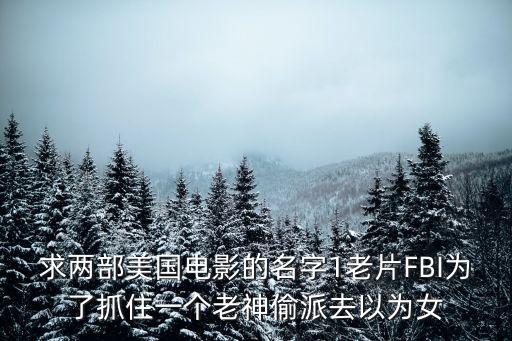 求兩部美國電影的名字1老片F(xiàn)BI為了抓住一個(gè)老神偷派去以為女