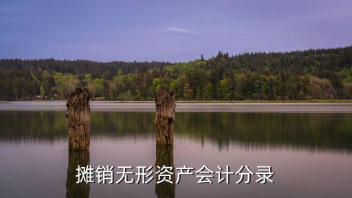 攤銷(xiāo)無(wú)形資產(chǎn)會(huì)計(jì)分錄