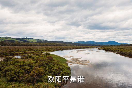 歐陽平，哪個(gè)電視劇的主角有歐陽平青云子雄