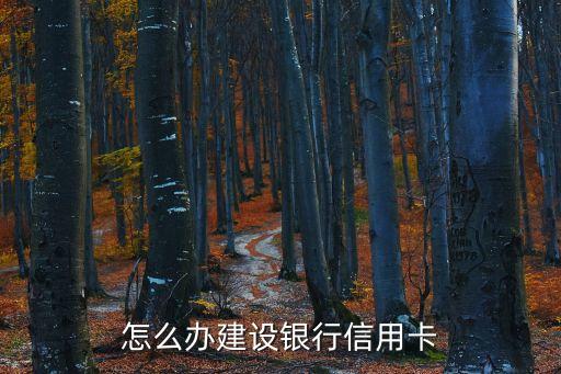 建行信用卡怎么辦，中國建設(shè)業(yè)銀行信用卡怎么辦需要啥