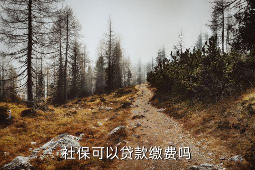 社保貸，社保可以貸款繳費(fèi)嗎