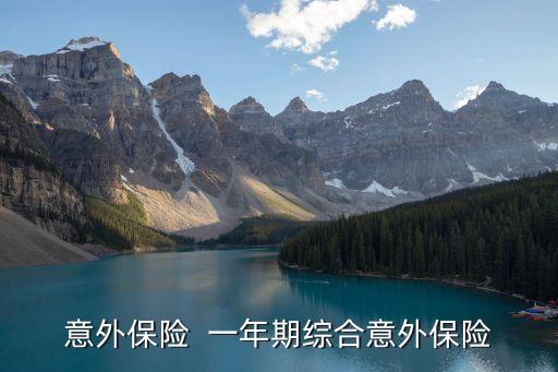 一年期意外險(xiǎn)，辦理一年期綜合意外險(xiǎn)需要多少錢急求回答