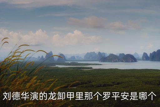 羅平安，劉德華演的龍卸甲里那個羅平安是哪個