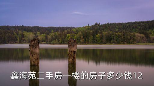 鑫海苑二手房一樓的房子多少錢12