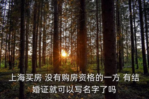 上海買房 沒有購房資格的一方 有結婚證就可以寫名字了嗎