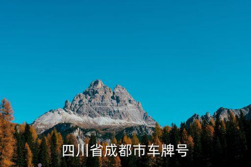 成都牌照，最近成都車牌號大概是什么